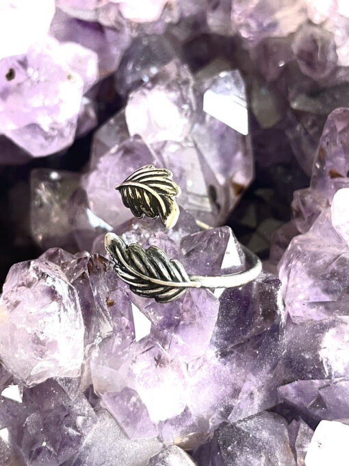 Kleine Federn Ring