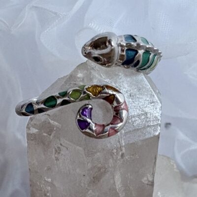 Chamäleon Ring