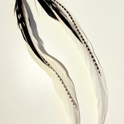 Echte Federohrringe Paar